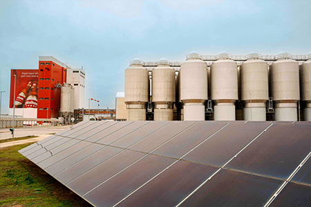 Alcanza Nature Positive