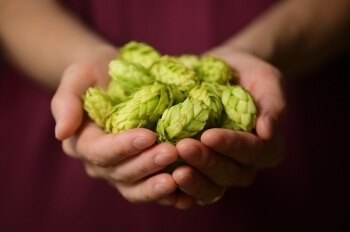 Mahou San Miguel y el fondo de inversión McWin Food Tech se unen para acelerar la innovación en el sector food-tech